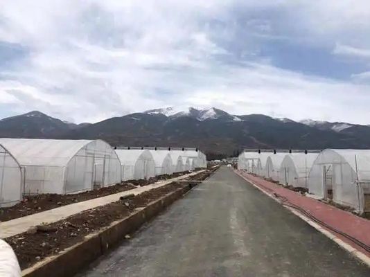 20.000kg 패키지 총 무게 필름 덮개 물 파이프 수식 온실 솔루션