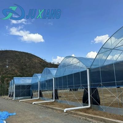 20.000kg 패키지 총 무게 필름 덮개 물 파이프 수식 온실 솔루션