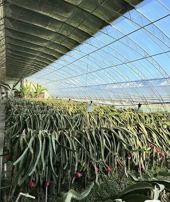 20.000kg 패키지 총 무게 필름 덮개 물 파이프 수식 온실 솔루션