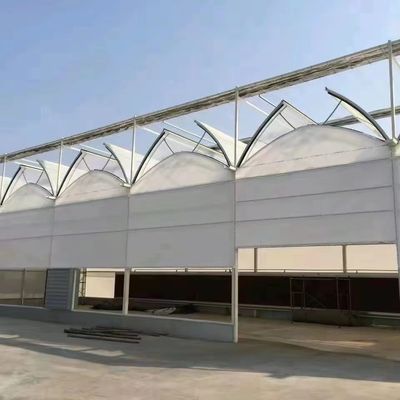 20.000kg 패키지 총 무게 필름 덮개 물 파이프 수식 온실 솔루션