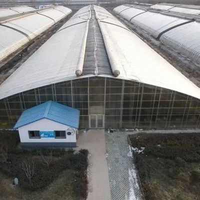 PE 필름 플라스틱 농업 온실 솔루션 패키지 크기 50.00cm * 60.00cm * 50.00cm