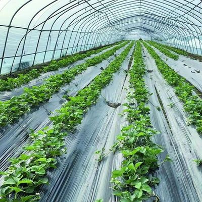 꽃 심기용 철강 구조 단일 터널 필름 온실 패키지 무게 20.000kg