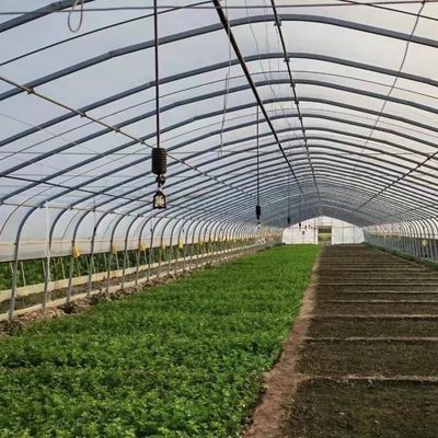 꽃 심기용 철강 구조 단일 터널 필름 온실 패키지 무게 20.000kg