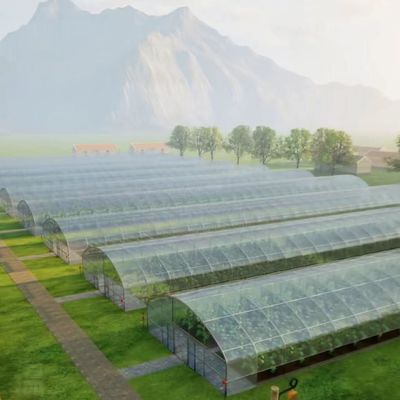 꽃 심기용 철강 구조 단일 터널 필름 온실 패키지 무게 20.000kg