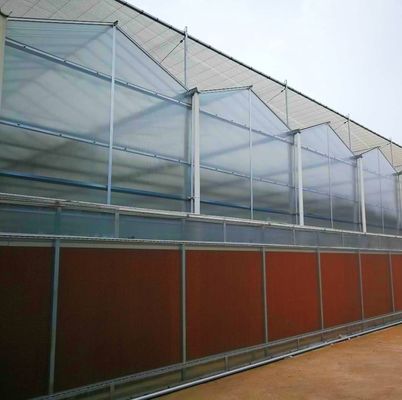 산업용 터널 필름 수식 기술 및 재료로 구성된 다단계 온실