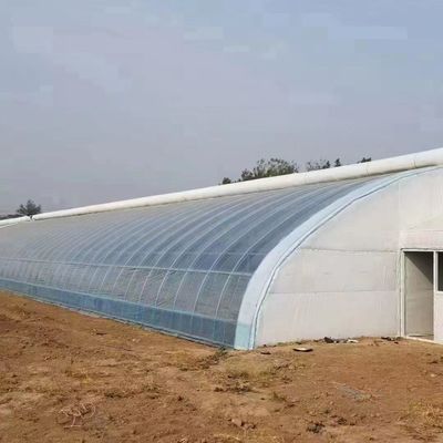 저렴한 가격에 다발성 PVC 파이프 에코 온실