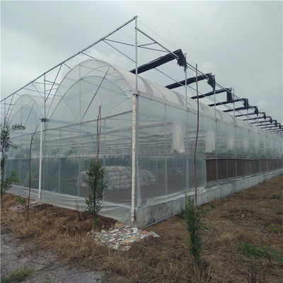 저렴한 가격에 다발성 PVC 파이프 에코 온실