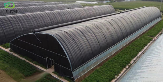20.000kg 패키지 총중량 다발 토마토 오징어 딸기 재배 온실