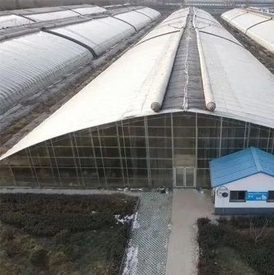 초기 지불 필름 또는 폴리카보네이트 PC 덮여있는 이중 아치 빔 터널 온실