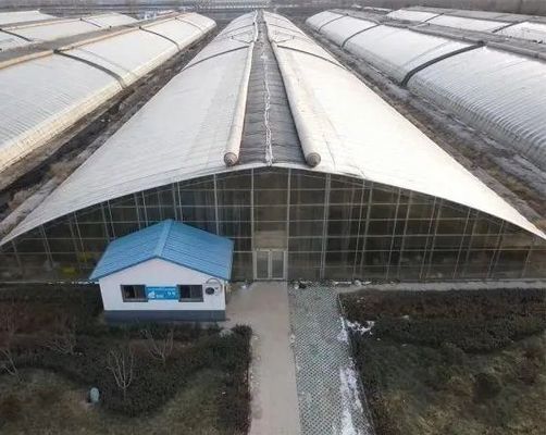 토마토 오징어 딸기 수식 시스템으로 농경 경험을 바꾸십시오