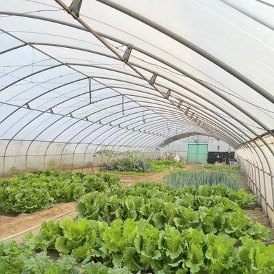 저렴한 수식 터널에 대한 상업 온실 시스템 초기 지불 제안