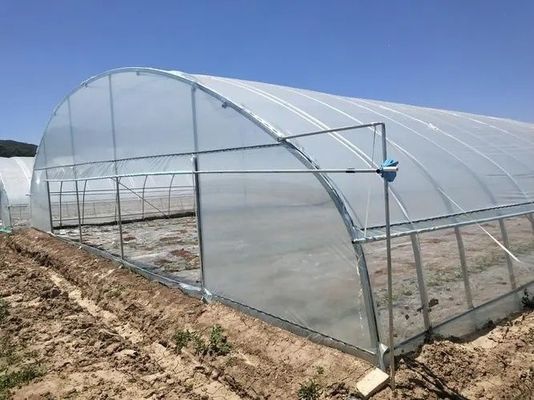 H 섹션 미국 시장의 필요에 따라 다단 스판에 맞춘 철강 구조 온실 설계