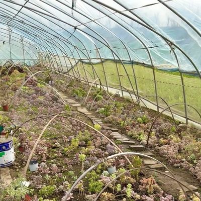 큰 저렴한 수소 터널 온실 솔루션 패키지 총 무게 20.000kg
