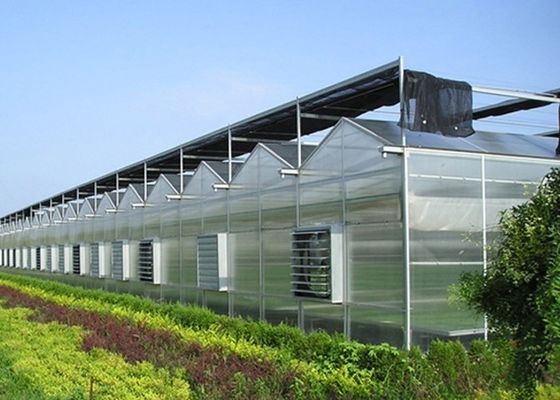H 섹션 미국 시장의 필요에 따라 다단 스판에 맞춘 철강 구조 온실 설계