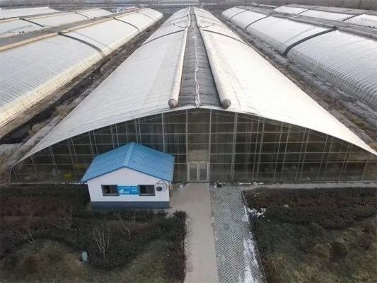 H 섹션 미국 시장의 필요에 따라 다단 스판에 맞춘 철강 구조 온실 설계