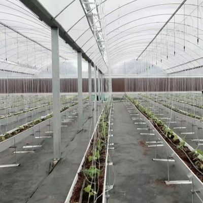 수식과 플라스틱 필름 샘플이 있는 다단계 온실 US 20/평방 미터
