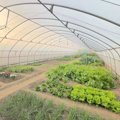 중국 원산지 필름 커버 온실 설치 배송 비용 및 예상 배송 시간