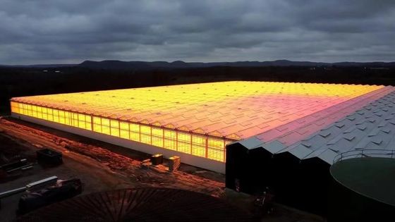 아치형 지붕 버섯 재배 햇빛 온실 패키지 총 무게 1000.000kg