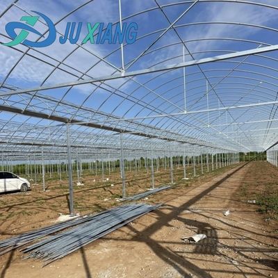 아치형 지붕 버섯 재배 햇빛 온실 패키지 총 무게 1000.000kg