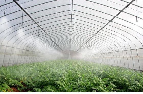 아치형 지붕 버섯 재배 햇빛 온실 패키지 총 무게 1000.000kg