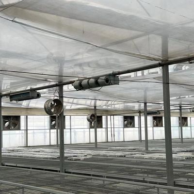 대규모 농업 물방울 관개 온실 50.00cm * 60.00cm * 50.00cm 전체 지불