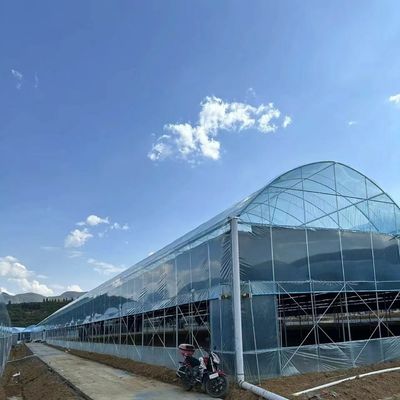30일 반품금 환불은 제한된 기간으로 제공됩니다