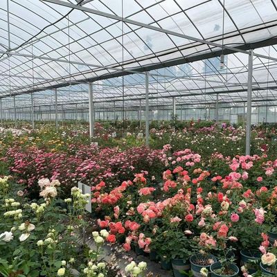 식물 생산용 유연한 다단계 온실 패키지 총 무게 20.000kg
