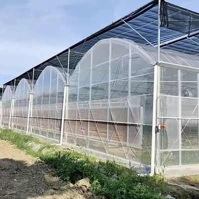 식물 생산용 유연한 다단계 온실 패키지 총 무게 20.000kg
