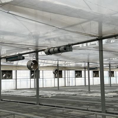 식물 생산용 유연한 다단계 온실 패키지 총 무게 20.000kg