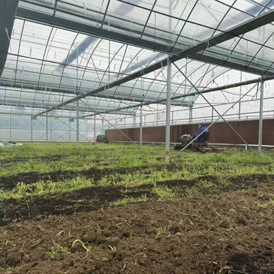 식물 생산용 유연한 다단계 온실 패키지 총 무게 20.000kg