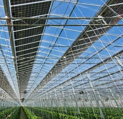 Customization Multi-Span Arch Type Cucumber Lettuce 광전기 온실 jx-SG-20