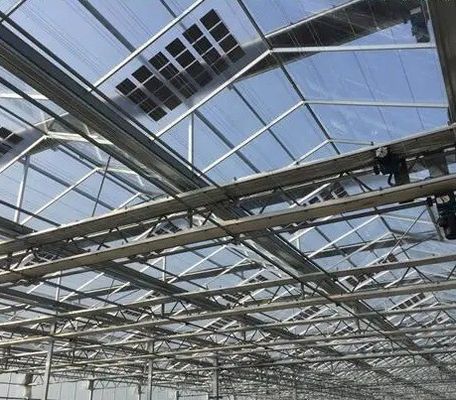 Customization Multi-Span Arch Type Cucumber Lettuce 광전기 온실 jx-SG-20