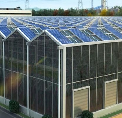 Customization Multi-Span Arch Type Cucumber Lettuce 광전기 온실 jx-SG-20