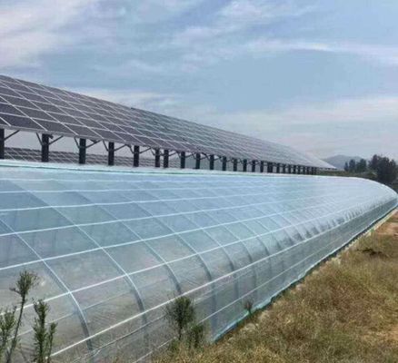 태양 에너지용 다층 덮개 온실 2000,000kg 패키지 총 무게