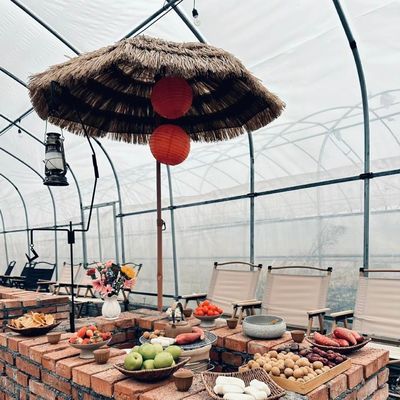 강철 구조 대용량 수식용 쉐딩 온실