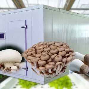 스마트 디자인에서 버섯 재배를 위한 운송 컨테이너 온실 JX-CG-0001