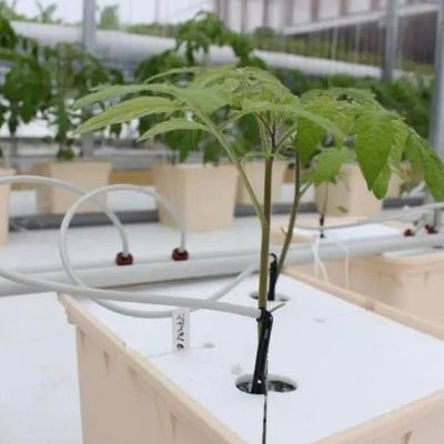 철강 구조 수직 농장 컨테이너 온실 다단계 수식 시스템