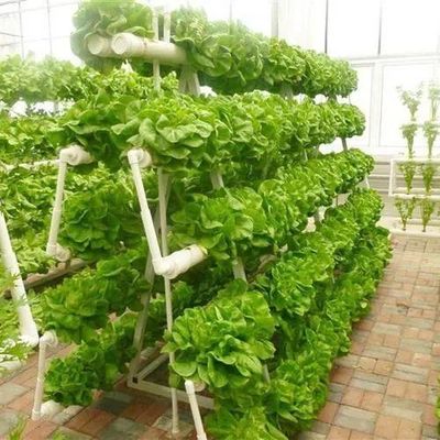 철강 구조 수직 농장 컨테이너 온실 다단계 수식 시스템