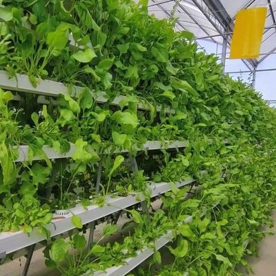 2000.000kg 패키지 총중량 수식용 상업 온실 기후 조절