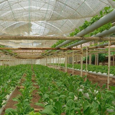 2000.000kg 패키지 총중량 수식용 상업 온실 기후 조절
