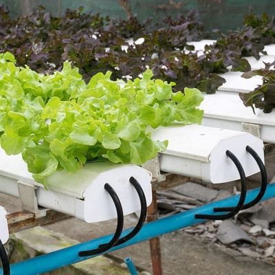 2000.000kg 패키지 총중량 수식용 상업 온실 기후 조절