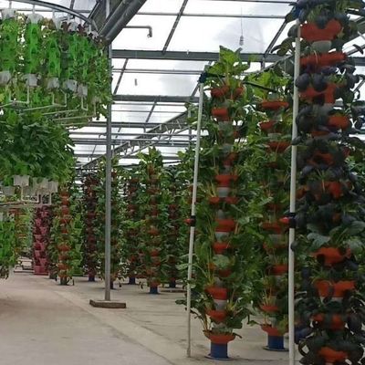 적절한 심기 재배 예산 친화적 인 필름 온실과 플라스틱 시트 커버