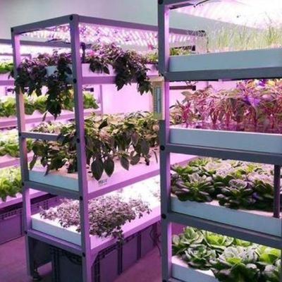 컨테이너 온실용 조명 시스템 패키지 총 무게 2000.000kg 통화 US