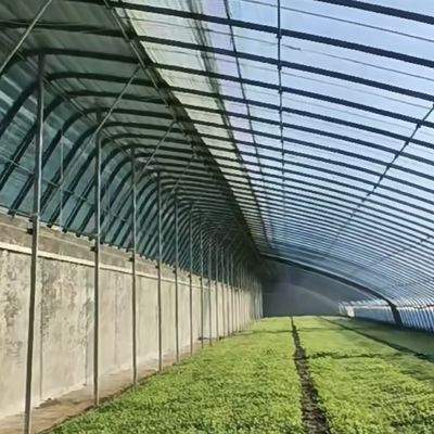 패키지 총 무게 100.000kg 필름 덮개와 함께 수소식 딸기 꽃 온실