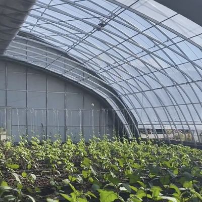 100.000kg 맞춤형 꽃 심기 방울 관개 채소 햇빛 온실