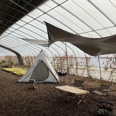 30일 반품 보증 채소 햇빛 온실 스파레이 관개 시스템 100.000kg