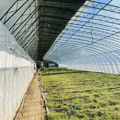 패키지 총중량 100.000kg JX-A00215 수식식품 꽃 심기 채소 생산