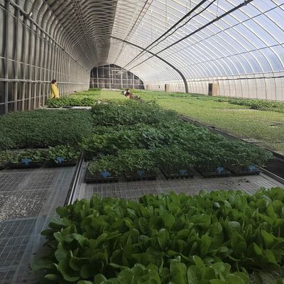 수산식품 태양광 온실 채소 생산 시스템에 대한 30일 환불