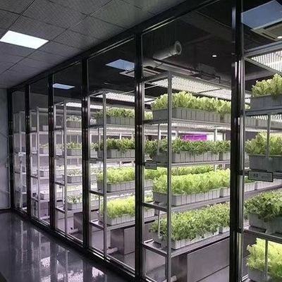 18000.000kg 패키지 총 무게 녹색 잎 채소 재배 용기 온실