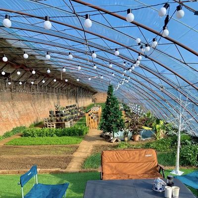 패키지 총중량 100.000kg 햇빛 온실 滴灌 꽃 심기